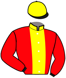 Casaque n°6