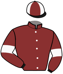 casaque_ELEGANT HORSE