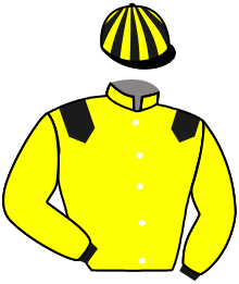 Casaque n°2