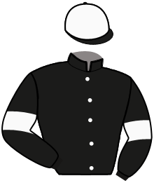 Casaque n°3
