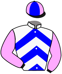 Casaque n°1