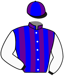 Casaque n°13