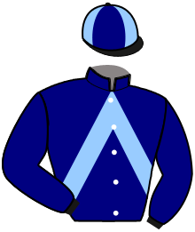 Casaque n°10