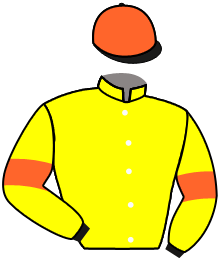 Casaque n°2