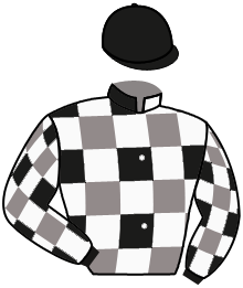 Casaque n°2