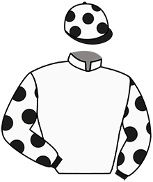 Casaque n°3