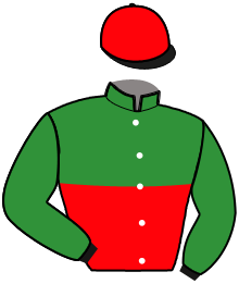 Casaque n°5