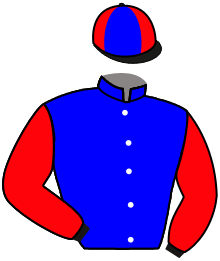 Casaque n°5