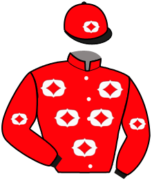 Casaque n°3