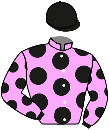 Casaque n°6
