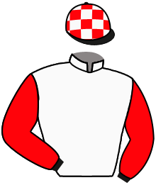 Casaque n°3