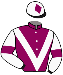 Casaque n°2
