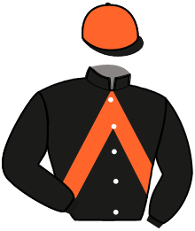 Casaque n°4