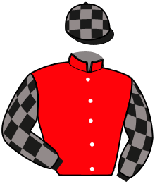 Casaque n°2