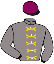 Casaque n°3