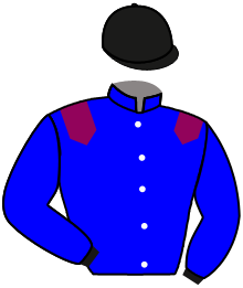 Casaque n°11