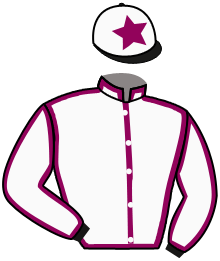 Casaque n°5