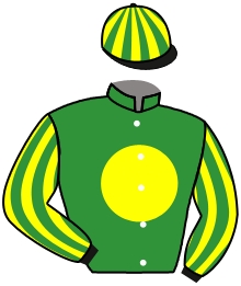 Casaque n°2