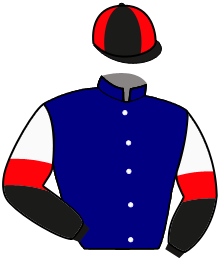 Casaque n°8