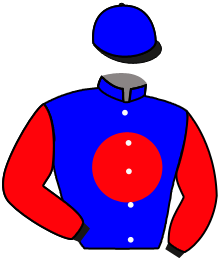 Casaque n°5