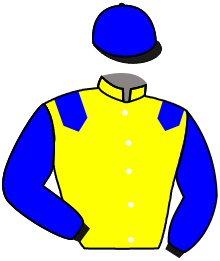 Casaque n°2