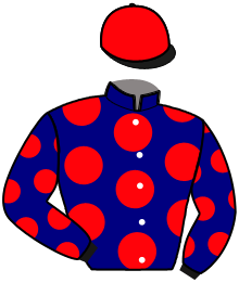 Casaque n°3