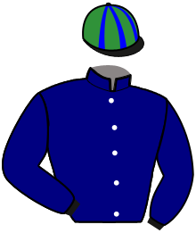 Casaque n°9
