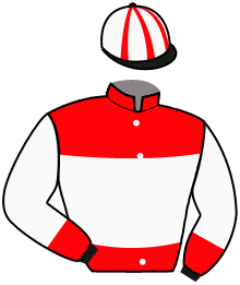 Casaque n°3