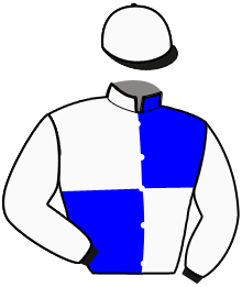 Casaque n°6