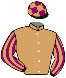 Casaque n°4