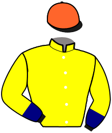 Casaque n°3