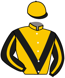 Casaque n°1