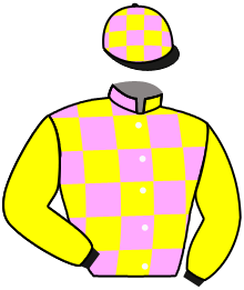 Casaque n°10