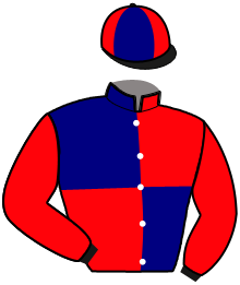 Casaque n°5