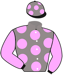 Casaque n°1