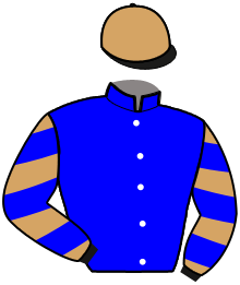 Casaque n°16