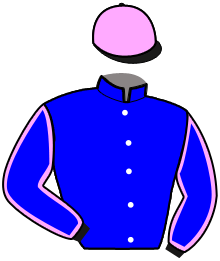 Casaque n°10