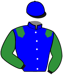 Casaque n°8