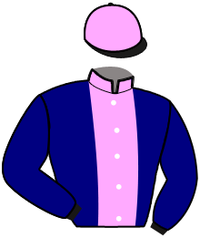 Casaque n°11