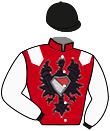 Casaque n°4