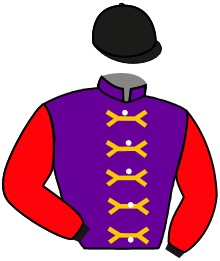 Casaque n°6