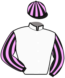 Casaque n°10