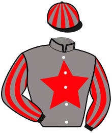 Casaque n°3