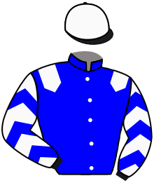 Casaque n°2