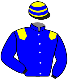 Casaque n°4