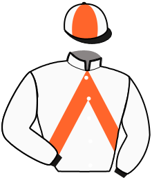 Casaque n°12