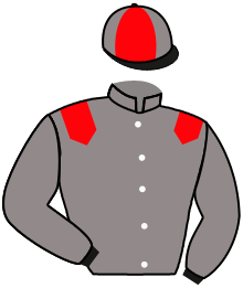 Casaque n°6