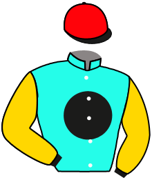 Casaque n°2