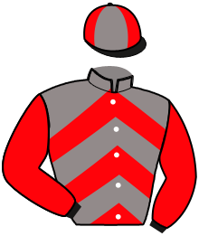 Casaque n°11