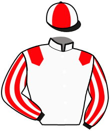 Casaque n°12